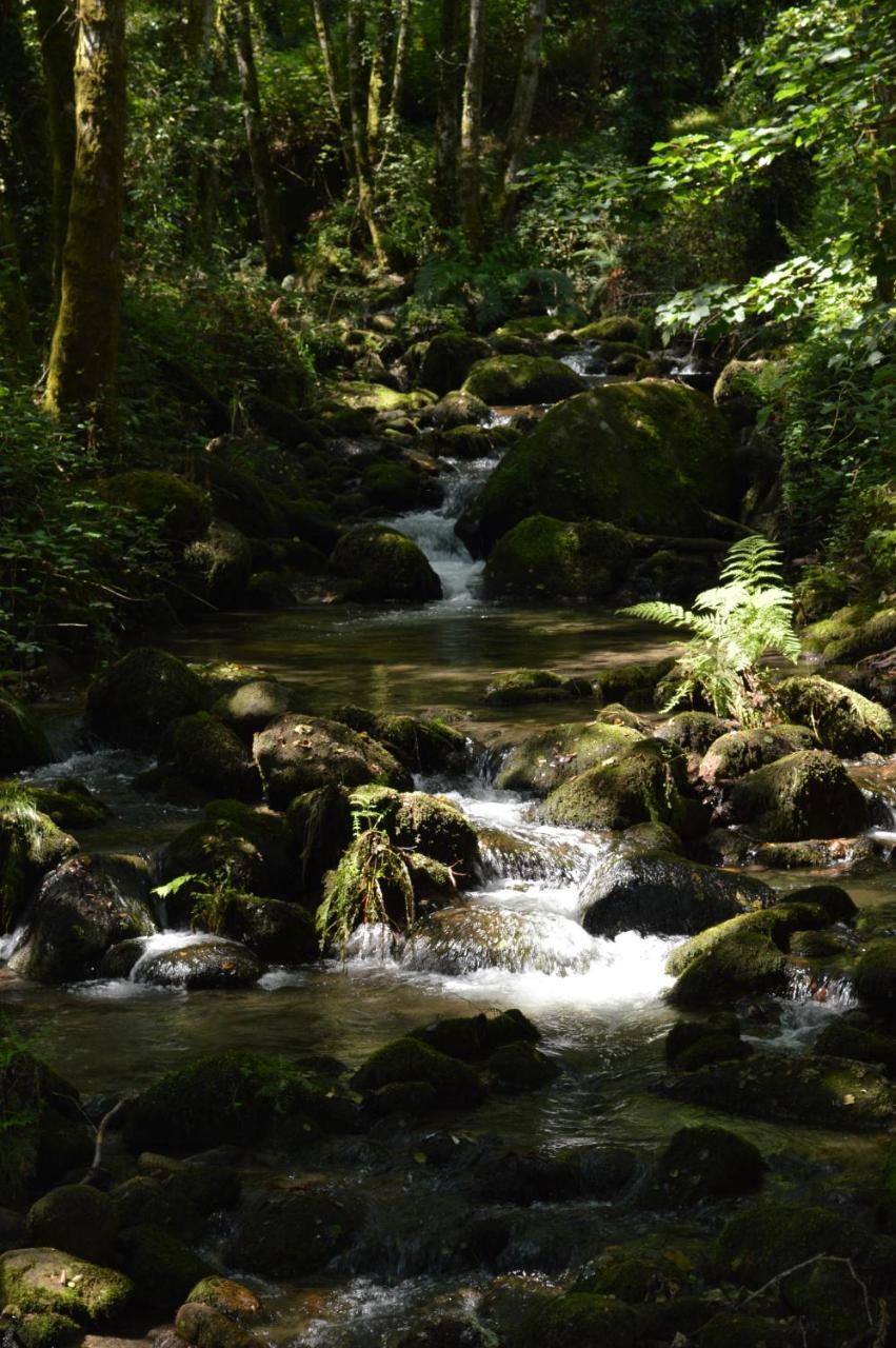Olar De Rabacallos Dış mekan fotoğraf